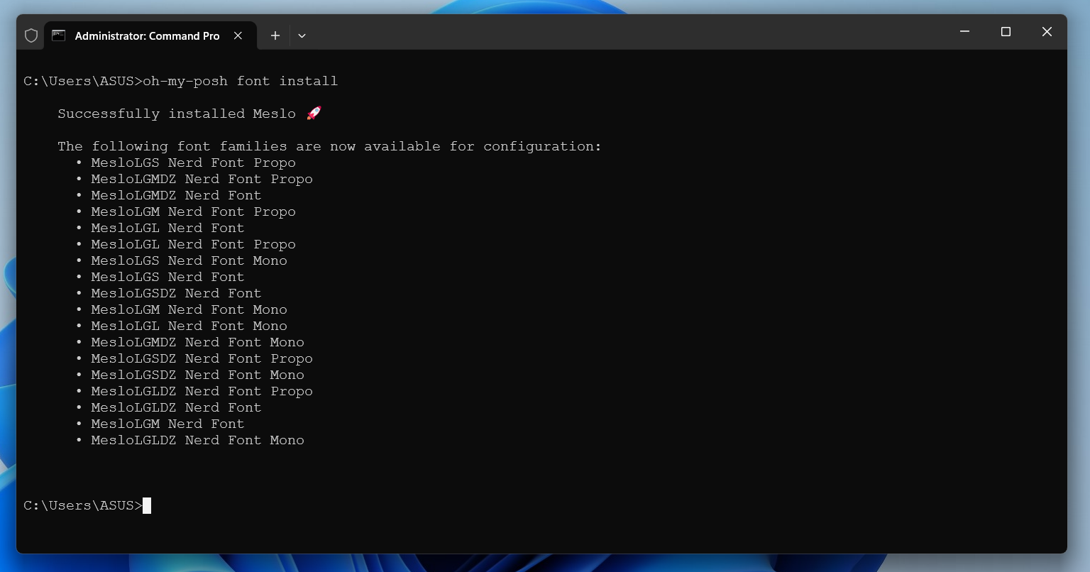 Installing the Meslo font using Oh My Posh