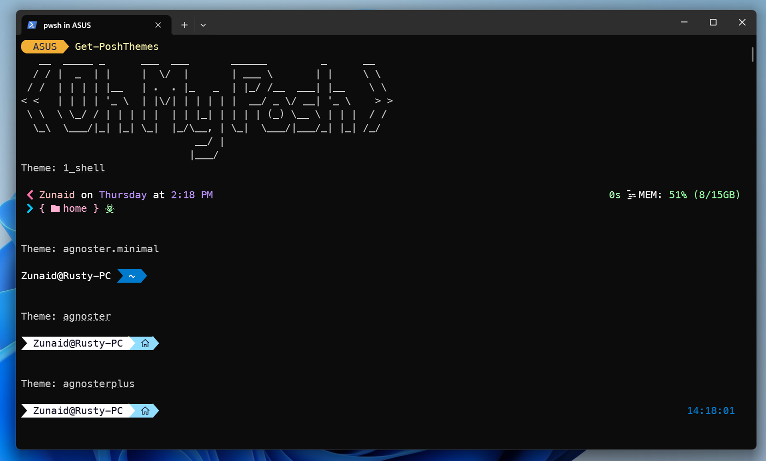 Oh My Posh themes displayed in PowerShell