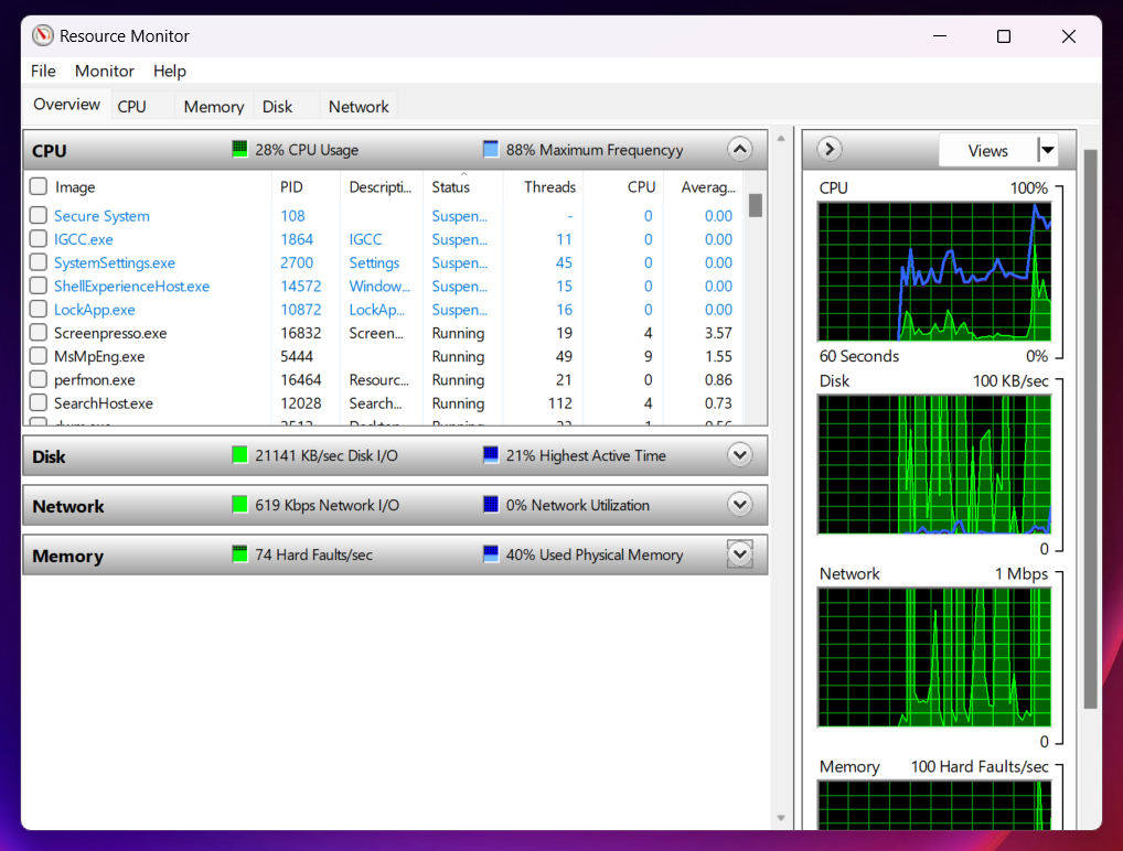 Viewing real time data of system resources in Resource Monitor window.