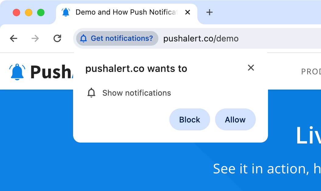 Legitimate website Pushalert.co requesting notification permission.