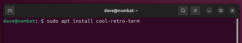 Installing cool-retro-term on Ubuntu, in a terminal window.