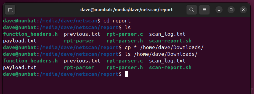 Copying files from the remote file system to the local file system.