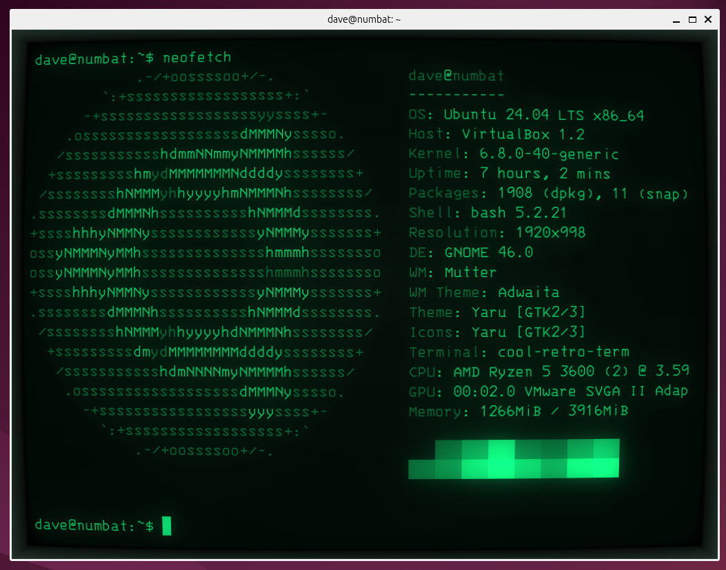 The IBM 3278 CRT display with some effects turned off.