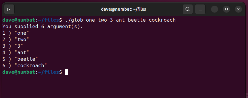 Using the example program to count and list command line arguments, in a terminal window.