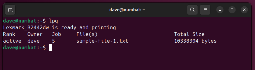 Using lpq to inspect the print queue with an active print job, in a Linux terminal window.