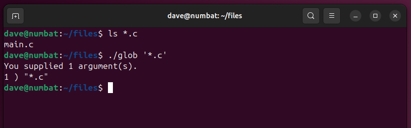 Using the example program to count and display command paramters, when *.c is enclosed in single quotes.