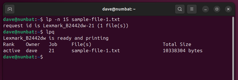 Using lp with the -n option to print a document multiple times, ina Linux terminal window.