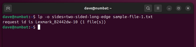 Using lp with the sides option in a Linux terminal window, to print a document double-sided.