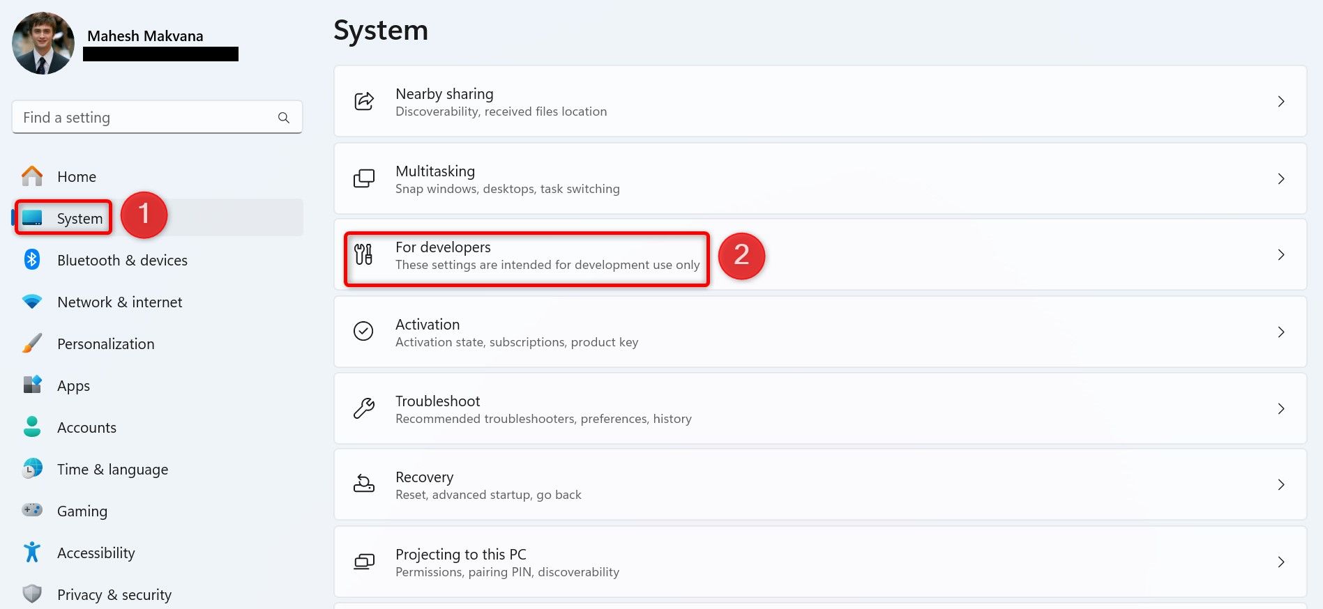 'System' and 'For Developers' highlighted in Windows 11 Settings.