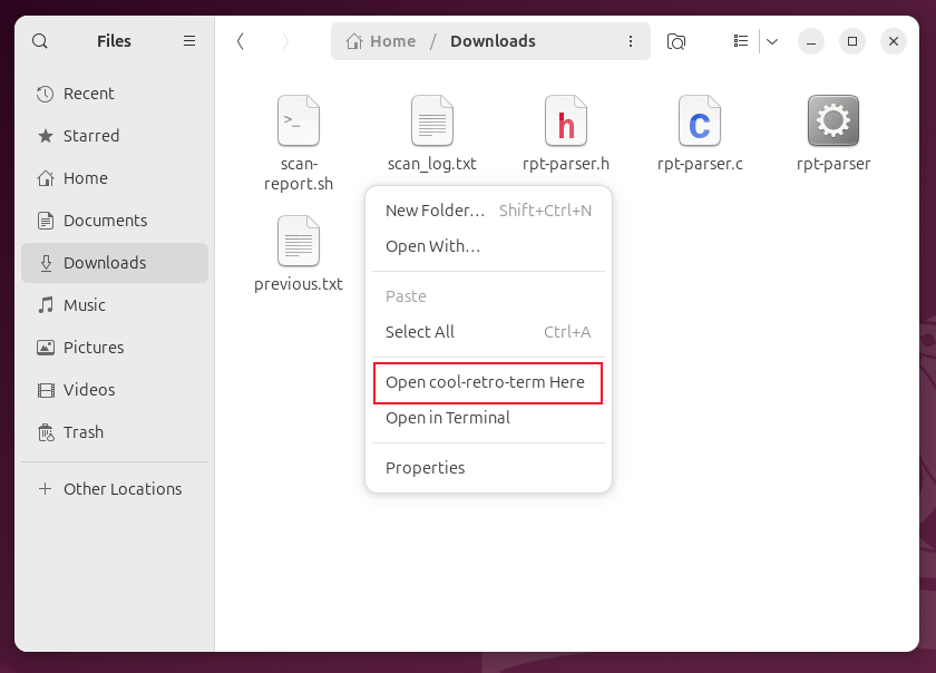 The Open cool-retro-term Here context menu entry, in Nautilus.