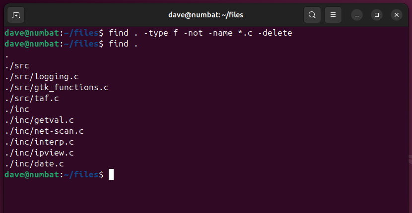 Using find in a terminal window to recursively delete files without a C extension.