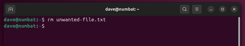 Using the Linux rm command to remove a file in a terminal window