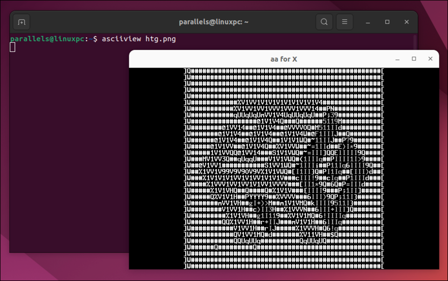 The asciiview command in the Ubuntu terminal, with the converted image in a separate window