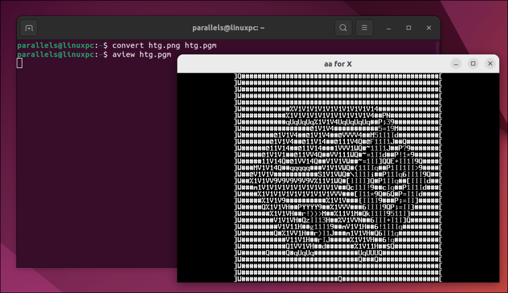 Using the convert and aview commands to convert a PNG file into a PGM file, then showing the ASCII-converted PGM file using aview.