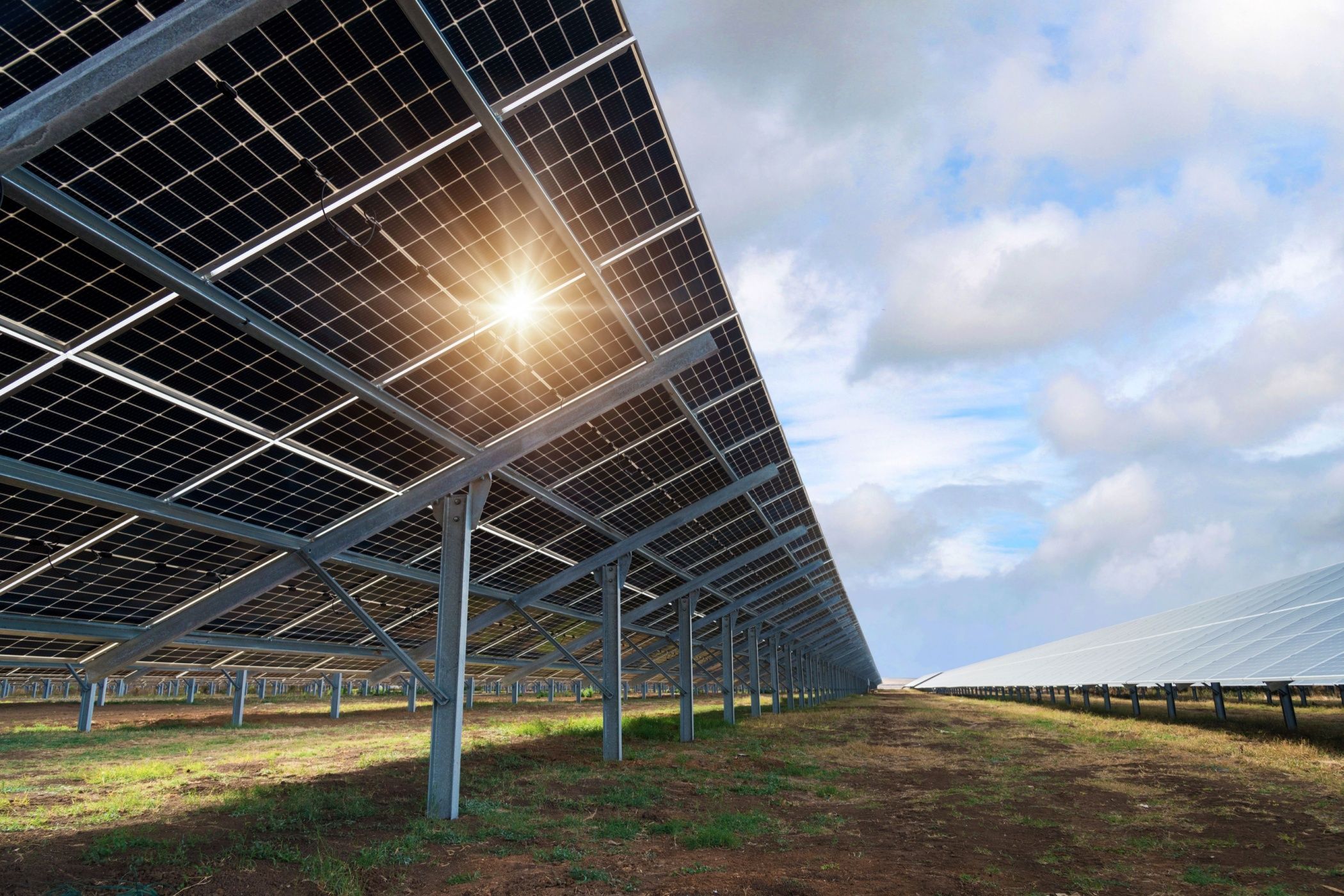 Bifacial solar panels in a field.