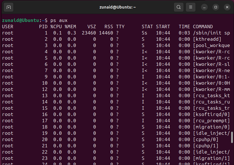 Displaying all Linux processes with details using the 'ps aux' command.