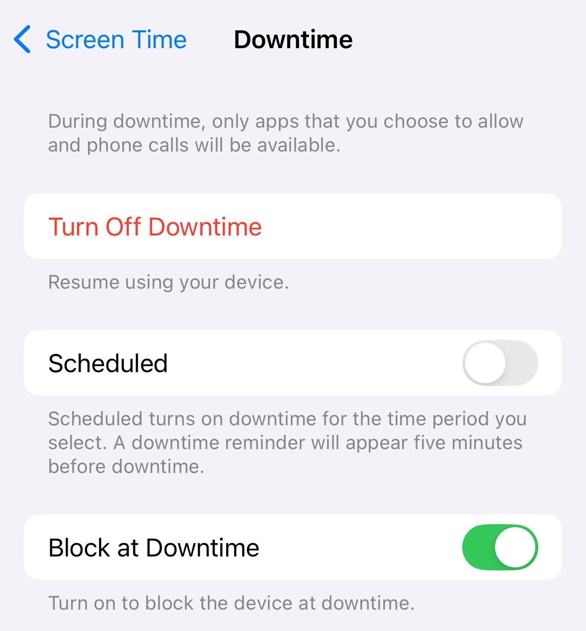 Downtime settings on iPhone within Screen Time, showing Downtime activated.