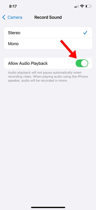 Allow Audio Playback