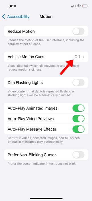 Vehicle Motion Cues