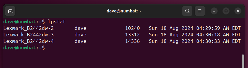 Using the lpstat command with no paramters in a Linux terminal window.