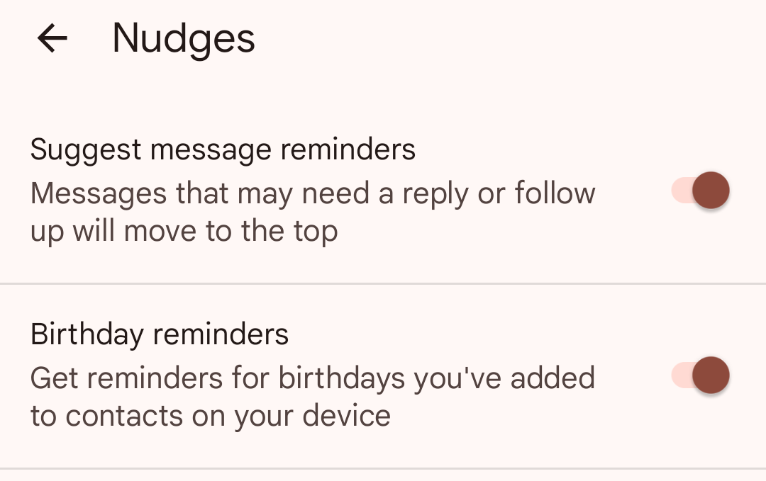 Nudges settings in Google Messages.