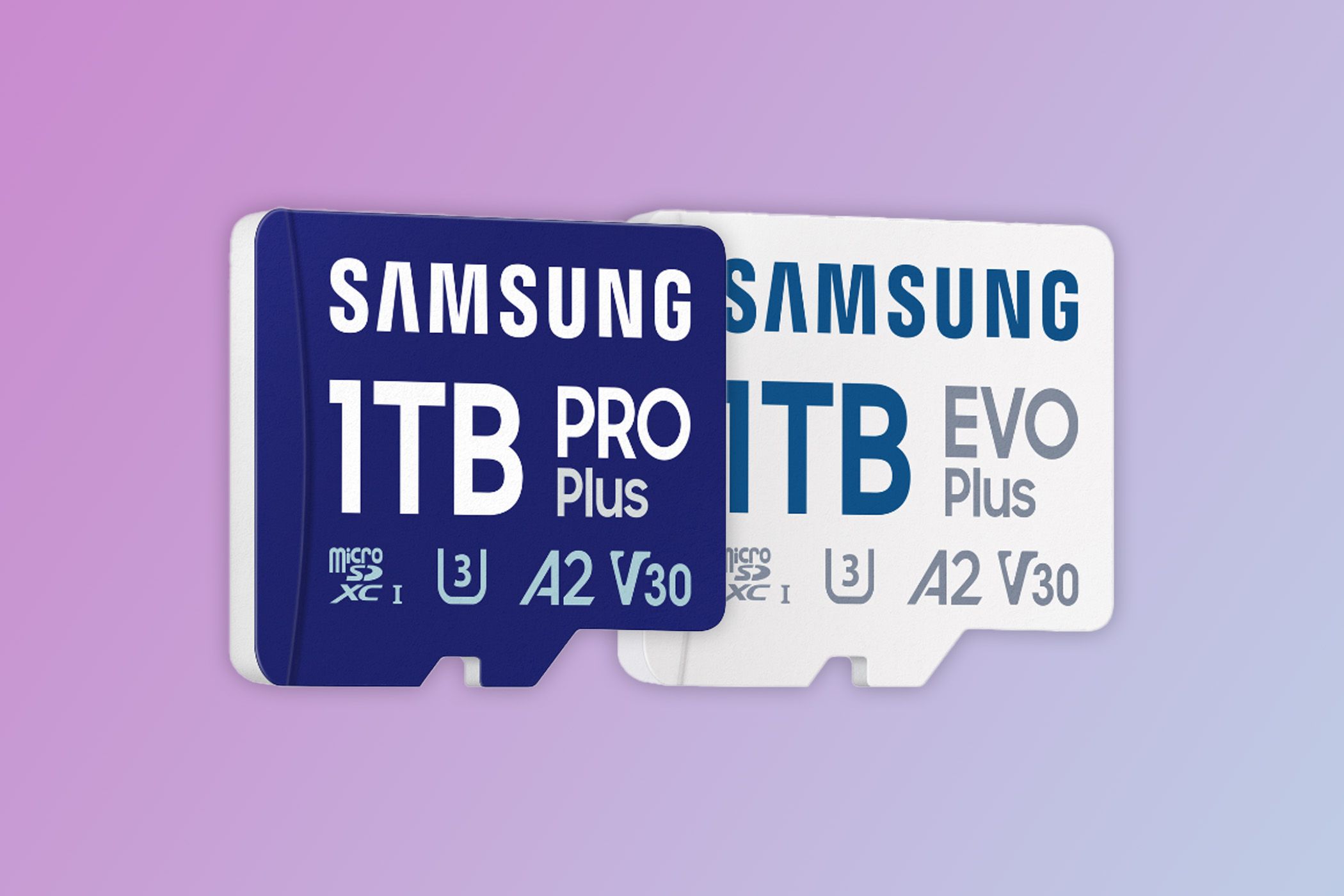 1TB Samsung Pro Plus and Evo Plus SD cards.