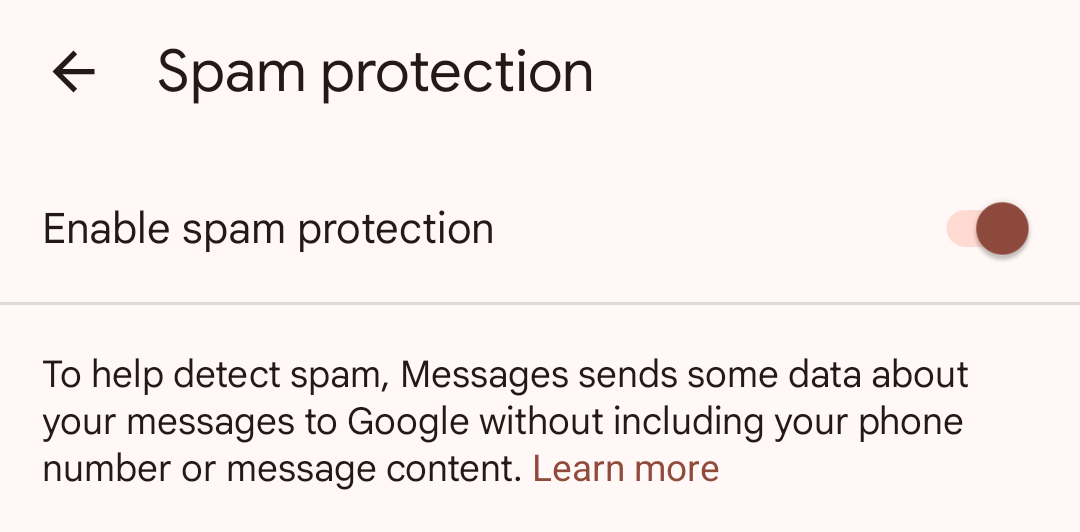 Spam Protection option in Google Messages settings.