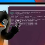 How to List the Installed Packages on Linux