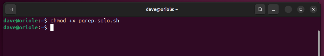 Using chmod to make the pgrep-solo.sh script executable.