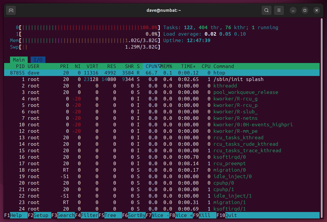 htop's default display after start up.