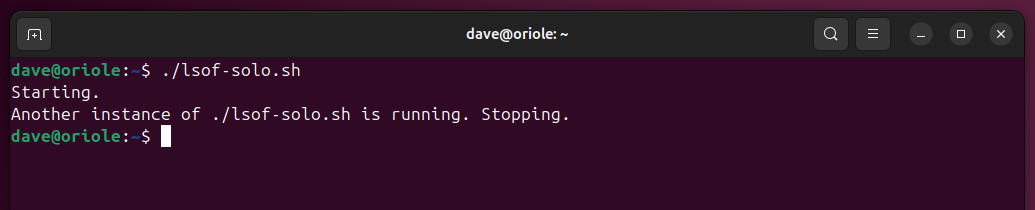 The lsof-solo.sh script self-terminating because another instance is already running.