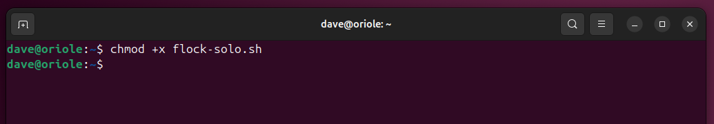 Using chmod to make the flock-solo.sh script executable.
