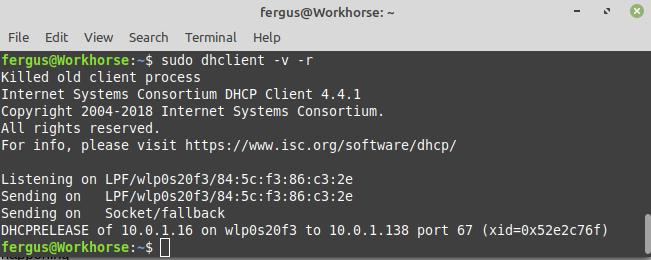 Releasing your IP in dhclient.