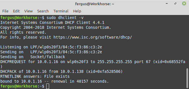 Verbose output from dhclient.