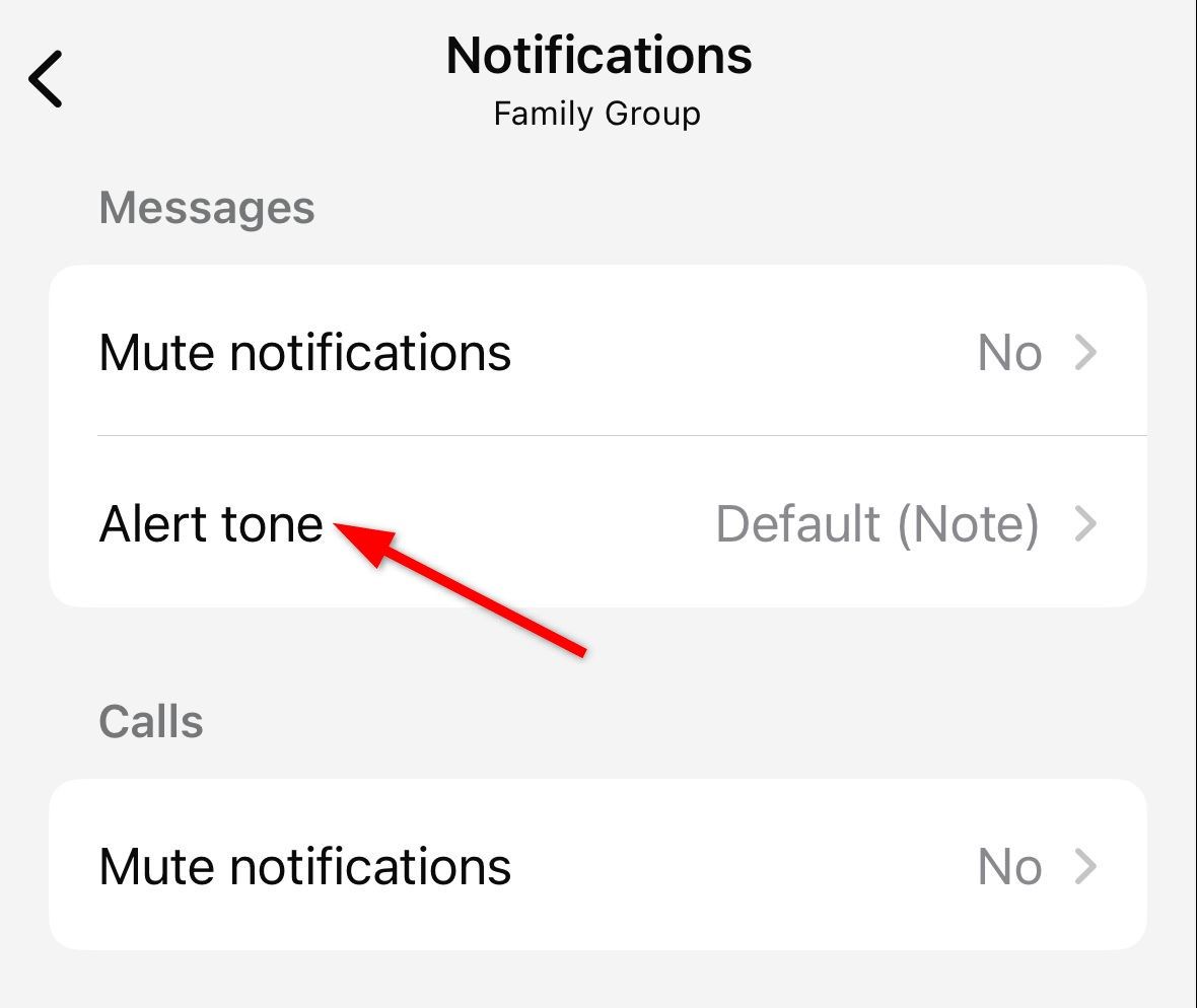 Changing iPhone group notification by selecting different tone from 'Alert Tone' option.