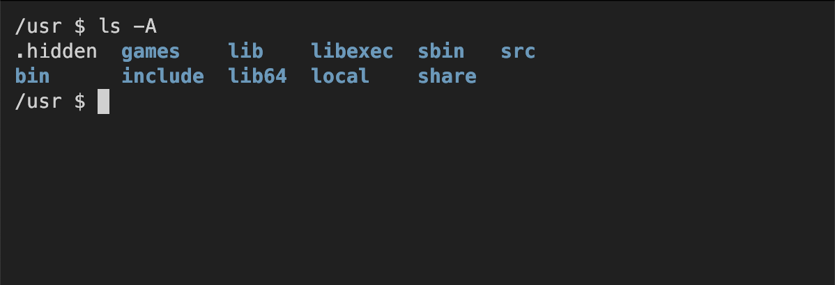 Terminal output of the ls -A command showing a hidden file but not the special files . and ..