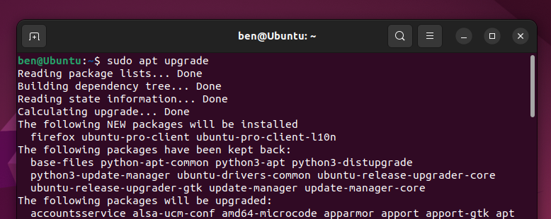 Type sudo apt upgrade and hit Enter in the terminal to begin updating any installed packages.