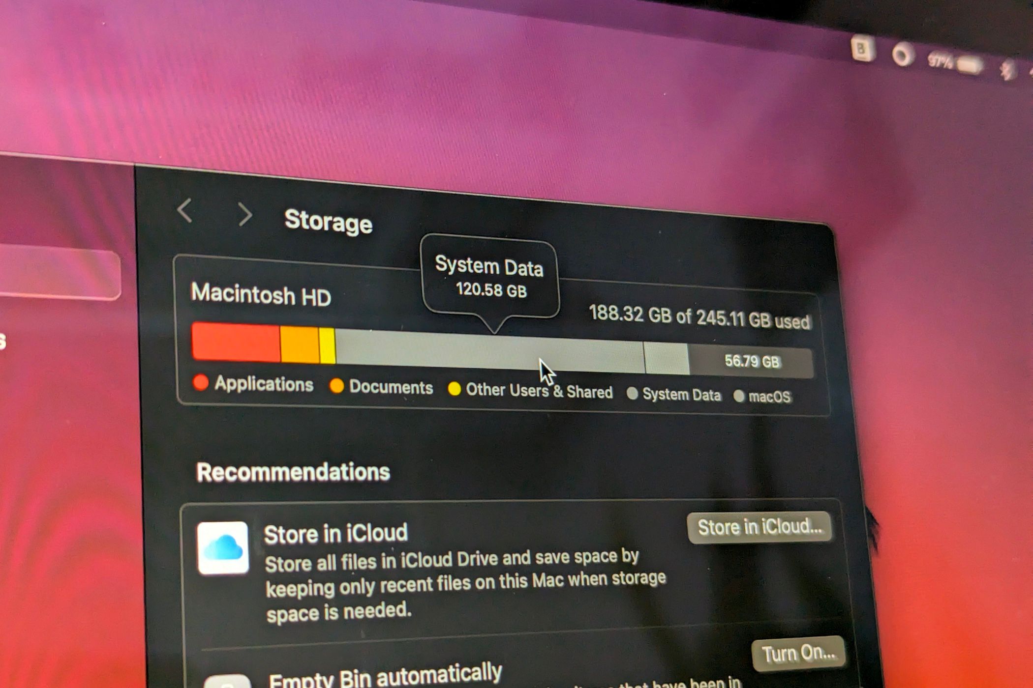 The System Data setting in macOS.