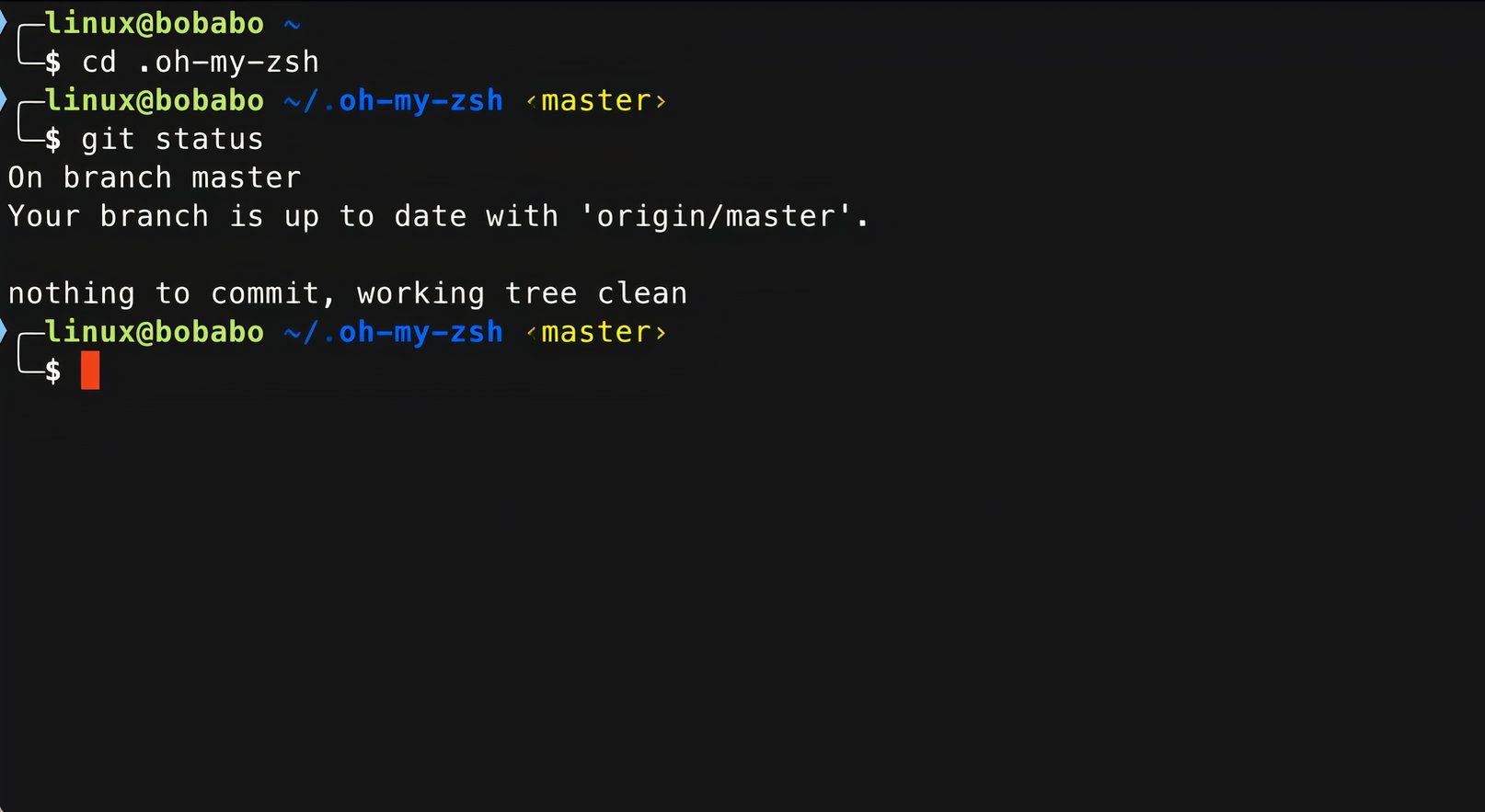 The zsh prompt with the bira theme and the git plugin enabled.