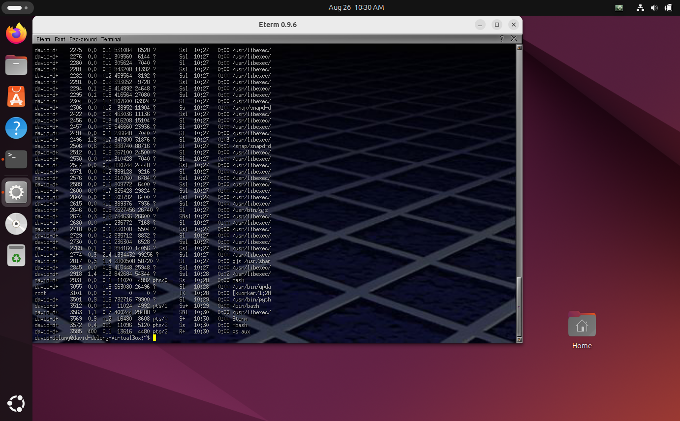 A process listing in Eterm on Ubuntu.