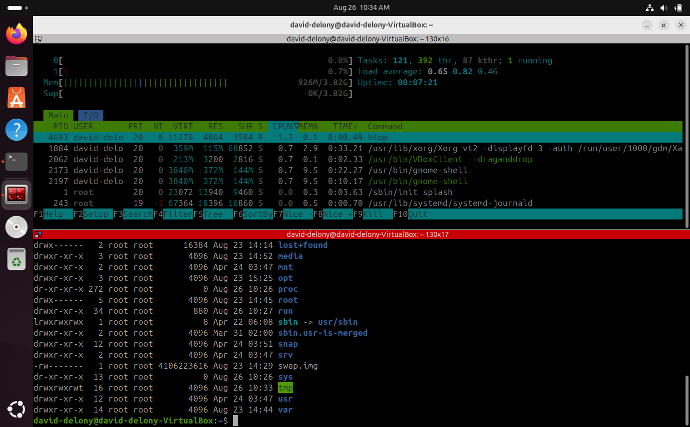 Terminator showing htop outout and a directory listing on Ubuntu