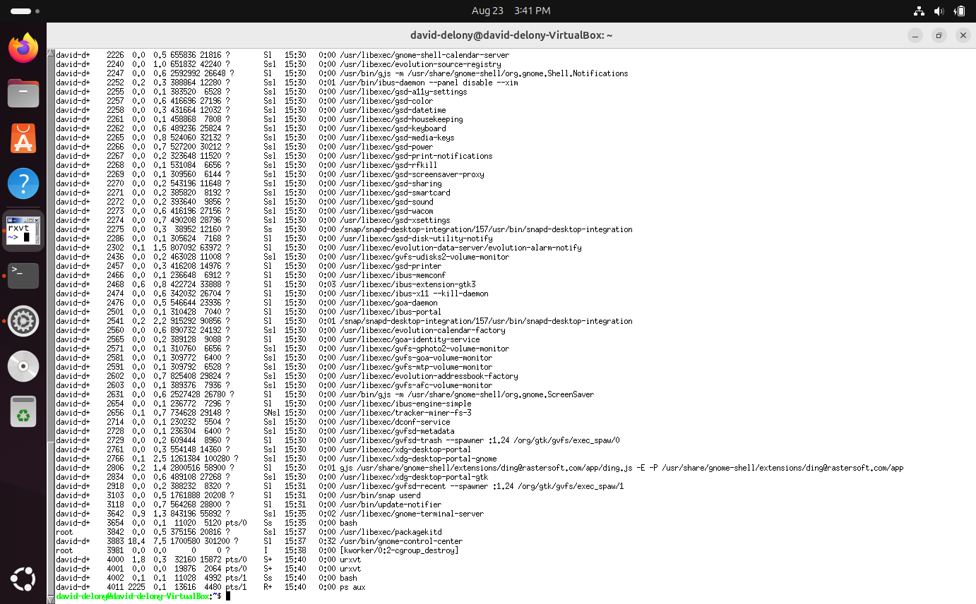 A process listing run in a urxvt terminal window in Ubuntu.