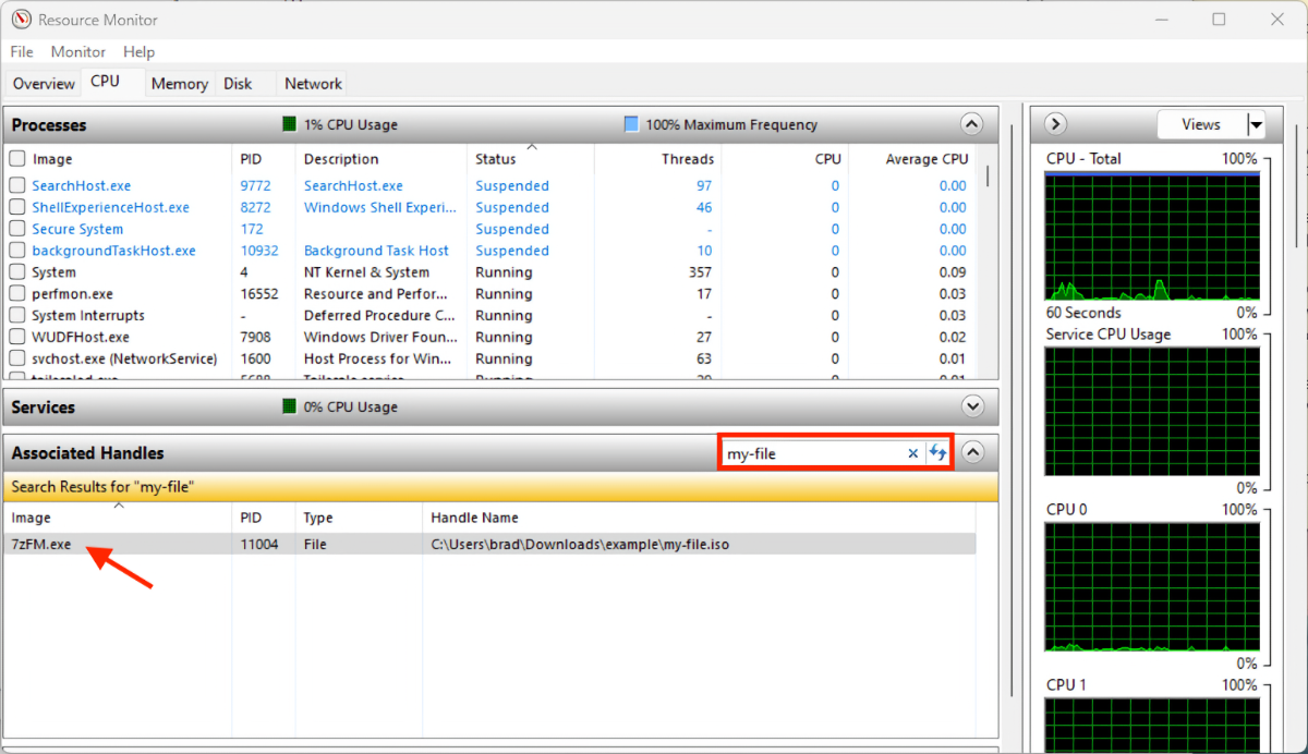 The location of the search box and name of the process using a file in the Windows Resource Monitor.