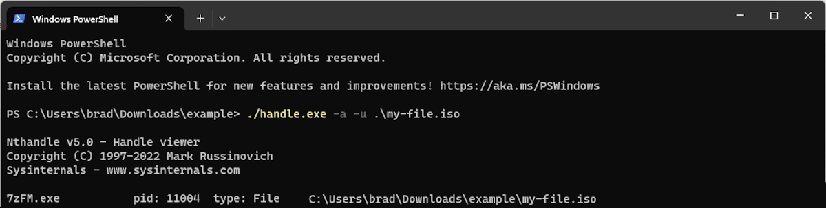 Windows Powershell showing the result of using handle.exe to see what program is using a file.