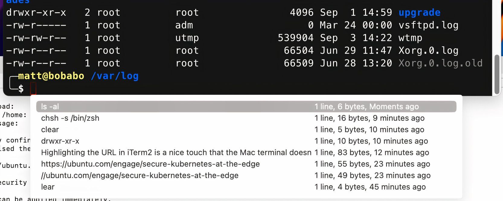 Your iTerm2 clipboard history is easily accessible.