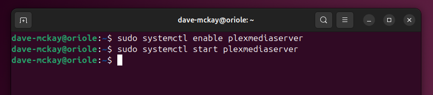 Starting and enabling the plexmediaserver daemon, with systemctl.