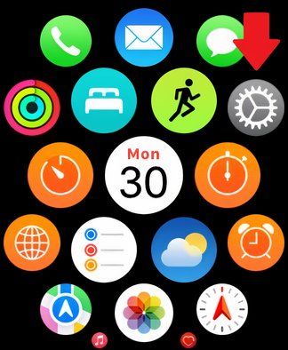 Find the Apple Watch SE homes creen settings app.