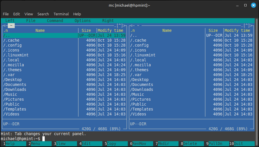 home folder of the demo system displayed in Midnight Commander