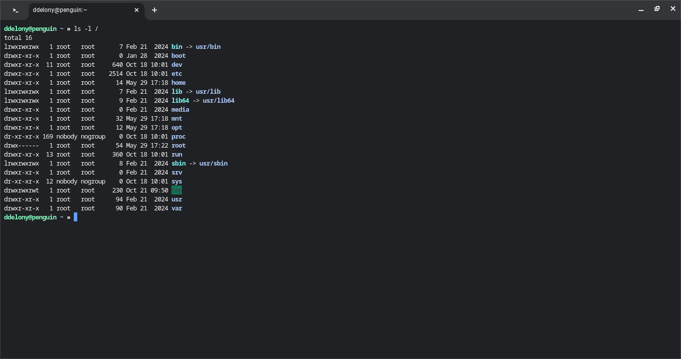 Output of the "ls -l" command in a Chromebook Linux terminal.