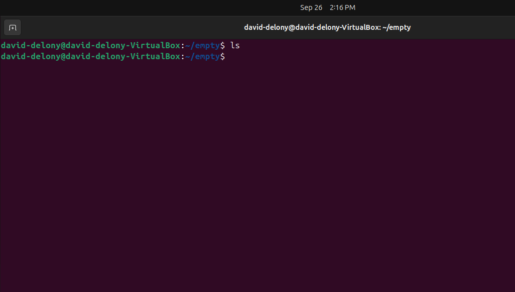 Output of Linux ls command on an empty directory called "empty" with a blank line.